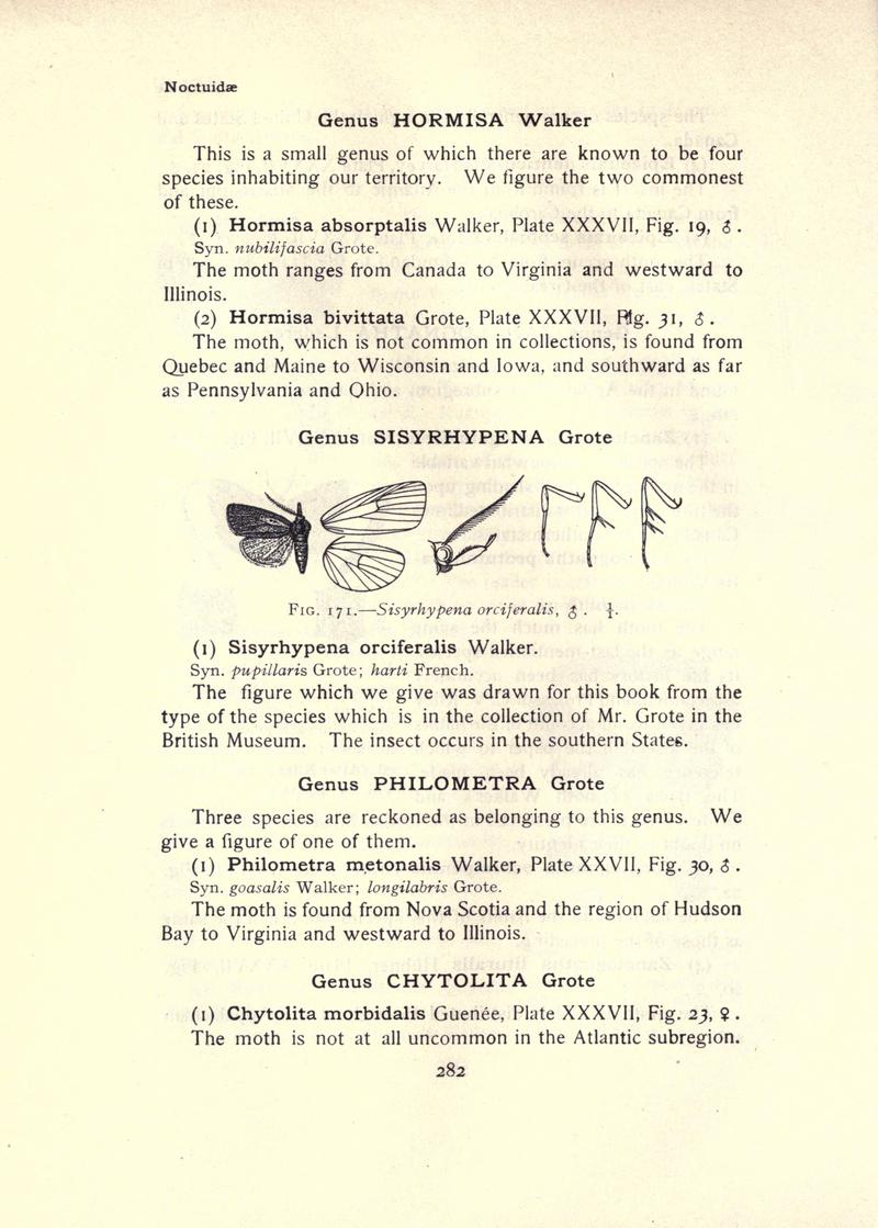 The moth book (Page 282, Fig. 171) BHL21853323