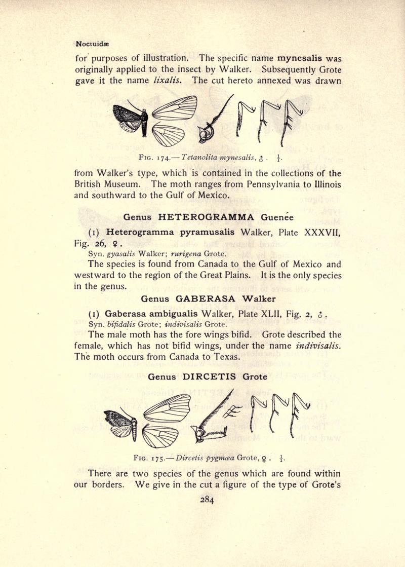 The moth book (Page 284, Figs. 174-175) BHL21853325