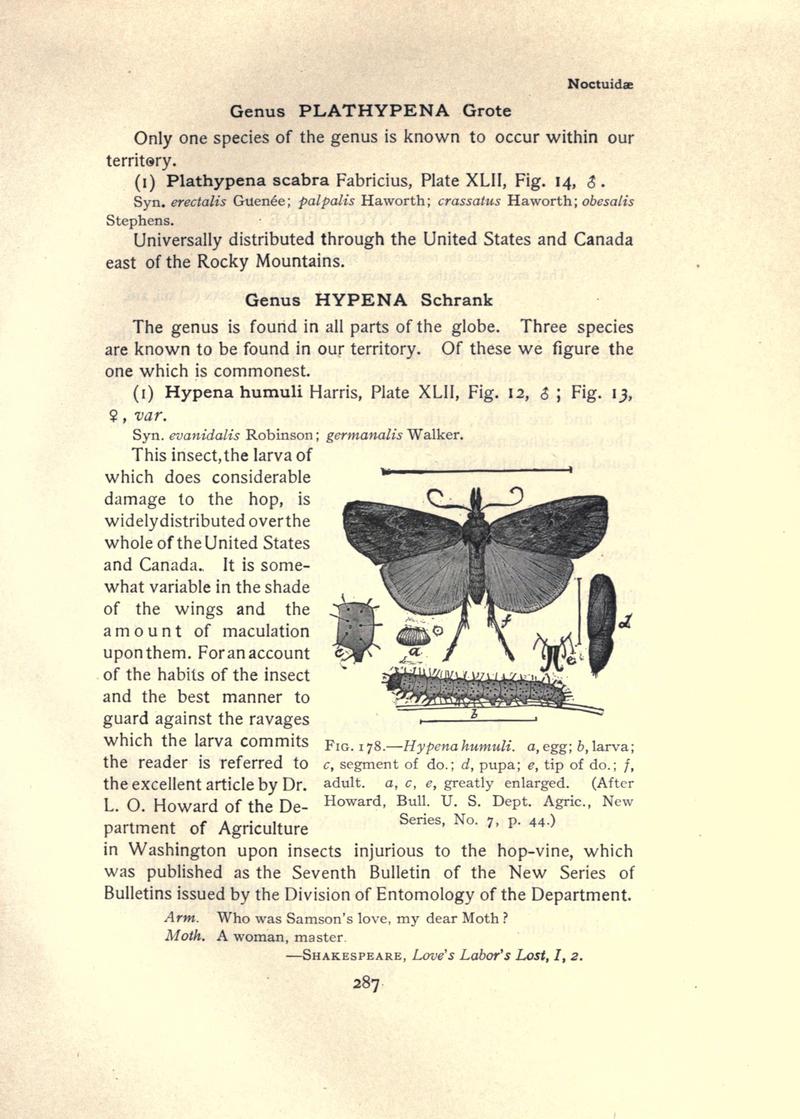 The moth book (Page 287, Fig. 178) BHL21853328