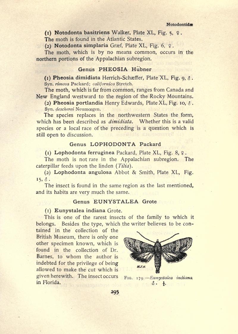 The moth book (Page 295, Fig. 179) BHL21853340