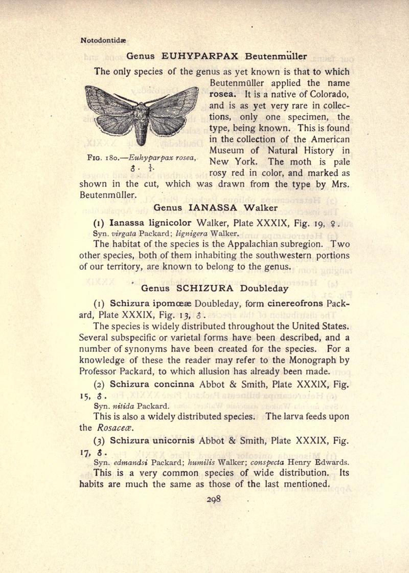 The moth book (Page 298, Fig. 180) BHL21853347