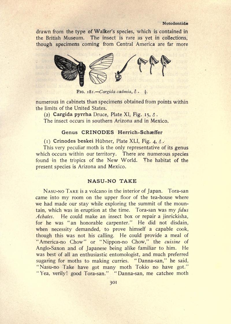 The moth book (Page 301, Fig. 181) BHL21853354