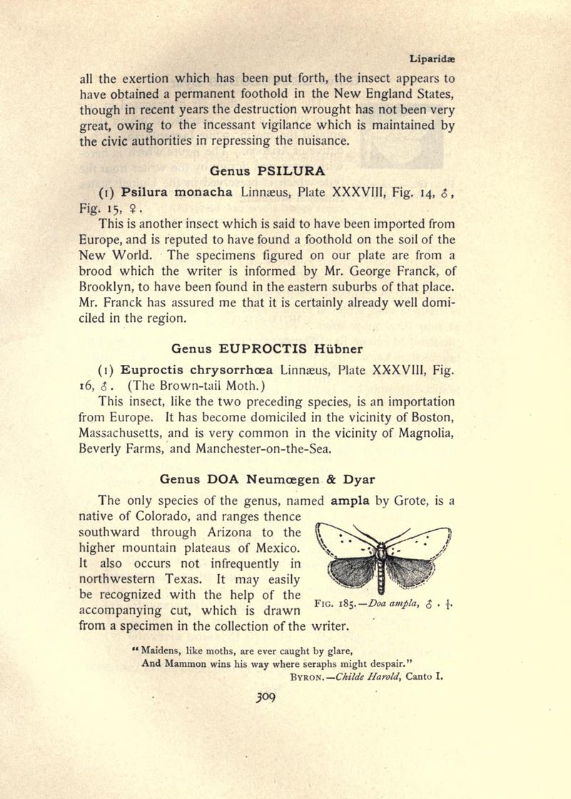 The moth book (Page 309, Fig. 185) BHL21853362