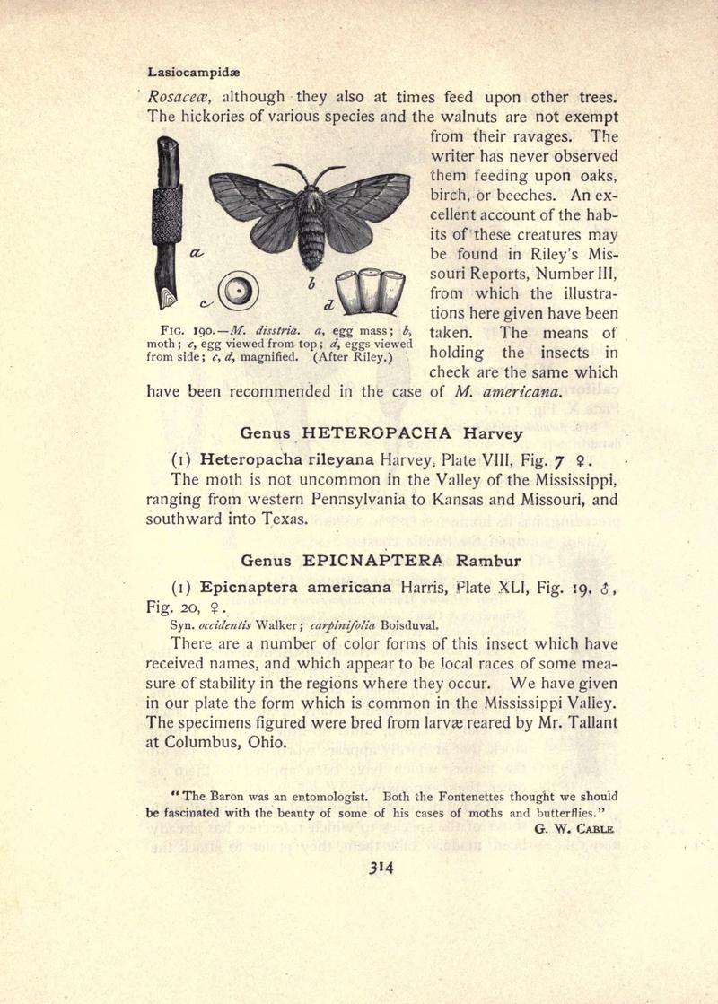The moth book (Page 314, Fig. 190) BHL21853367