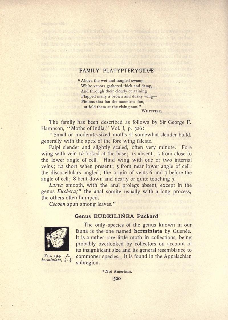 The moth book (Page 320, Fig. 194) BHL21853377
