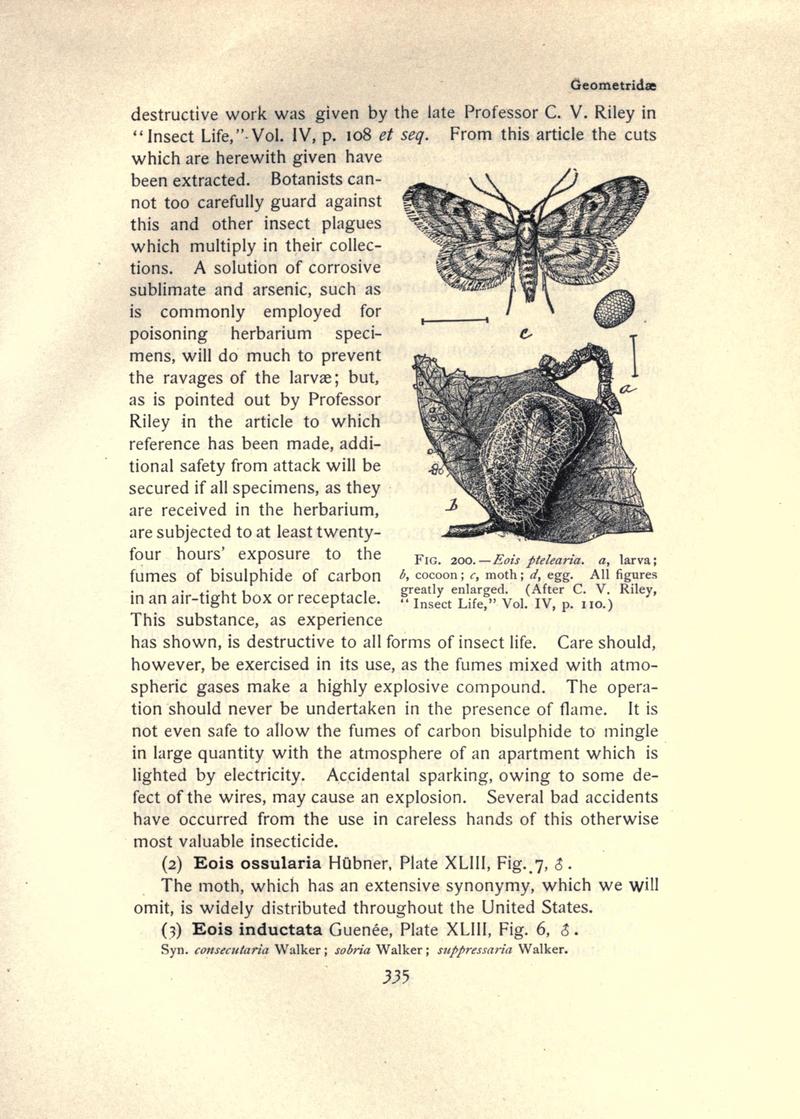 The moth book (Page 335, Fig. 200) BHL21853396