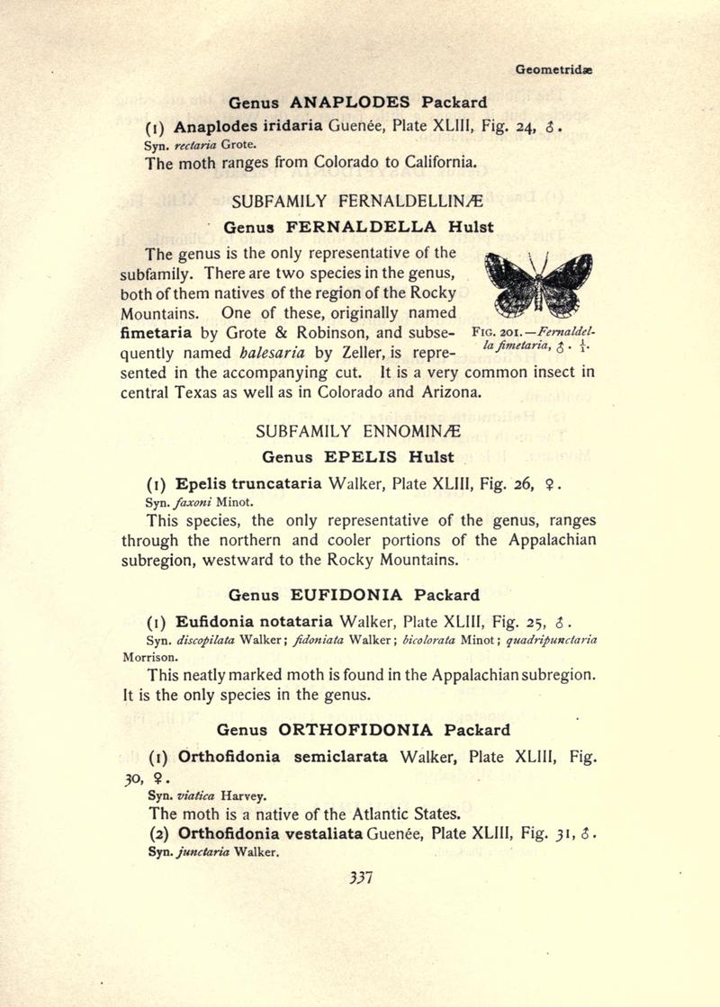 The moth book (Page 337, Fig. 201) BHL21853398