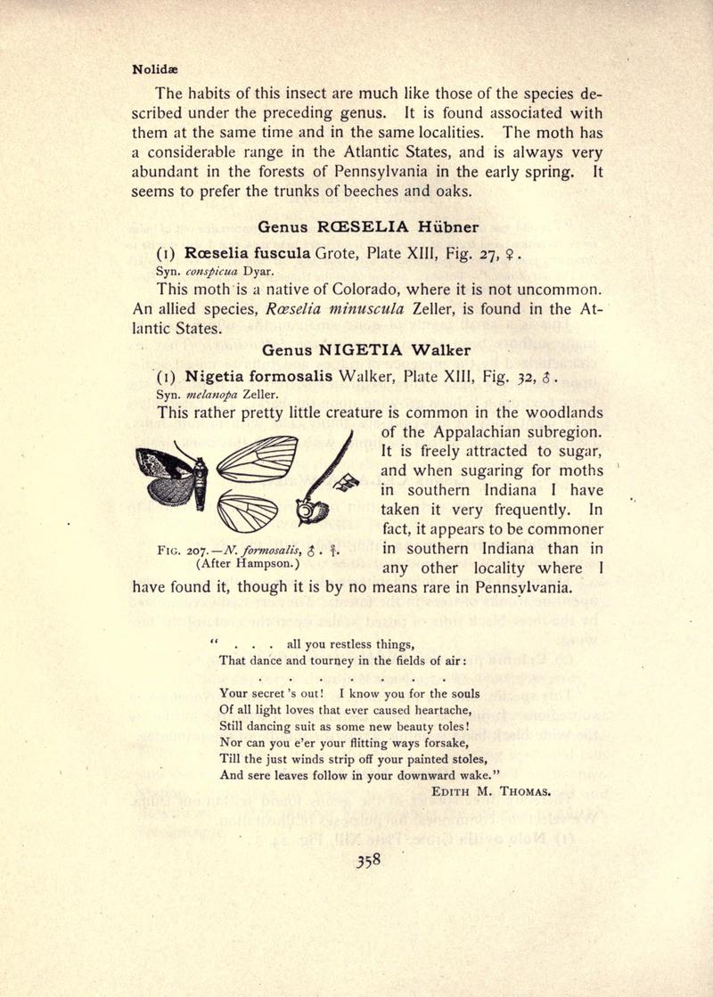 The moth book (Page 358, Fig. 207) BHL21853431