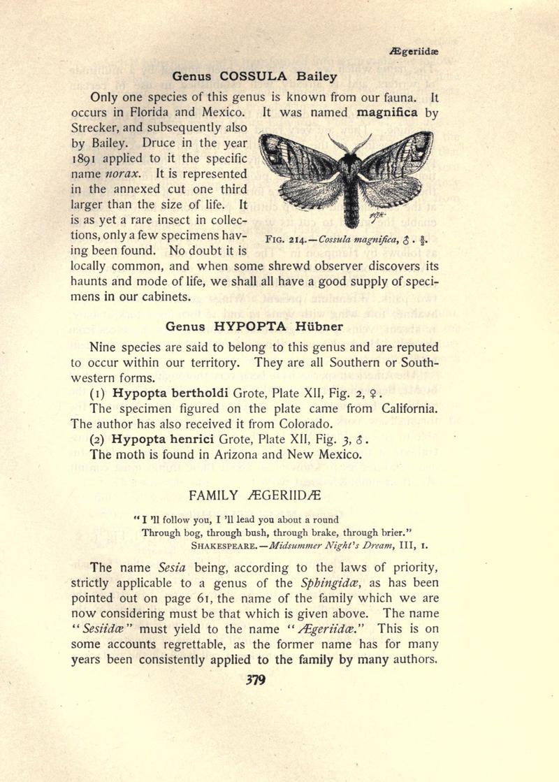 The moth book (Page 379, Fig. 214) BHL21853452