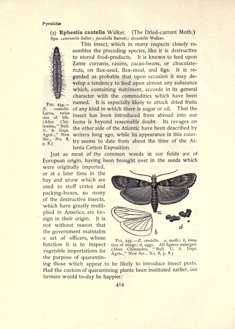 The moth book (Page 414, Figs. 234-235) BHL21853499