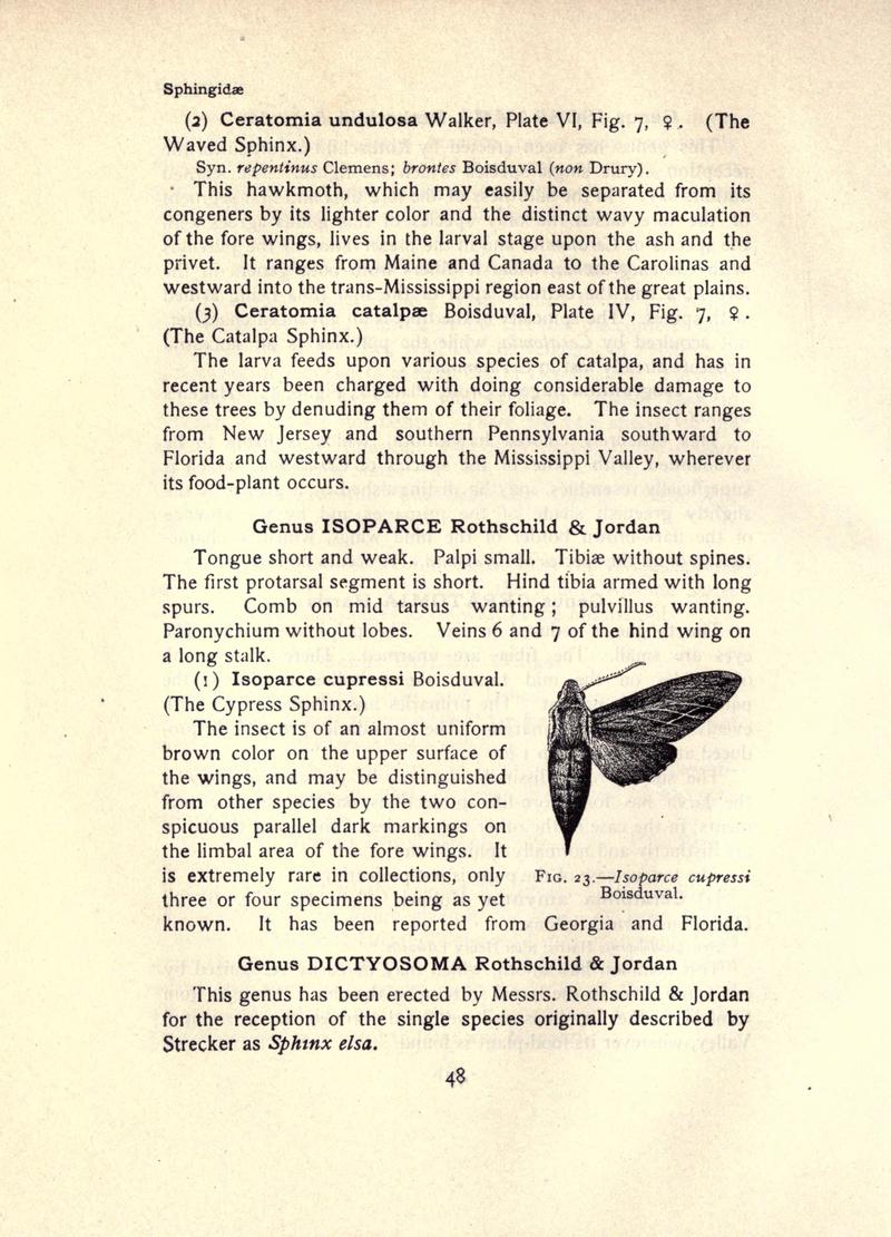 The moth book (Page 48, Fig. 23) BHL21852949