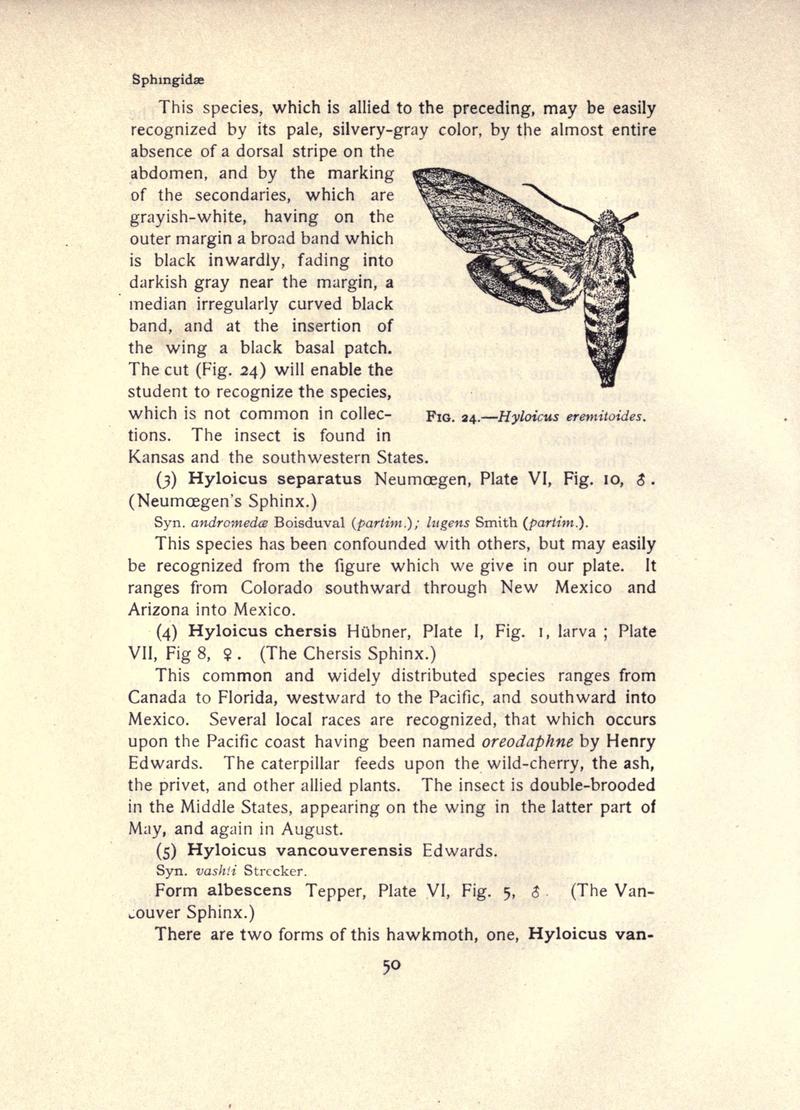 The moth book (Page 50, Fig. 24) BHL21852955