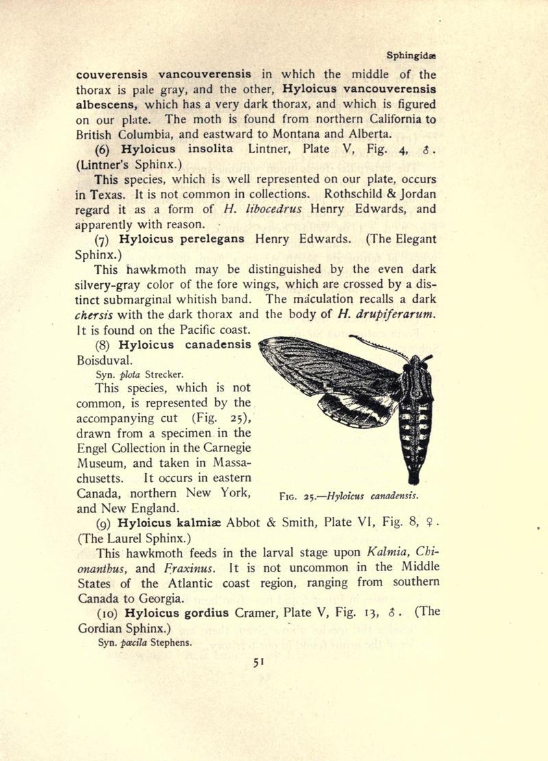 The moth book (Page 51, Fig. 25) BHL21852956