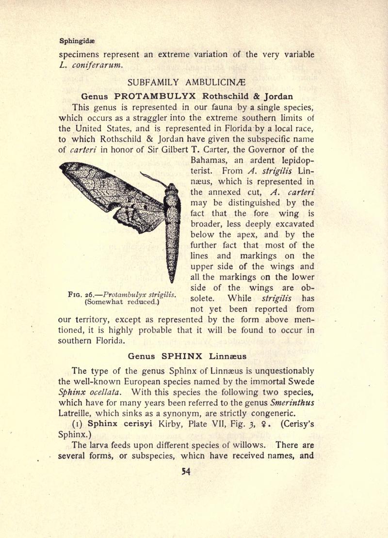 The moth book (Page 54, Fig. 26) BHL21852959