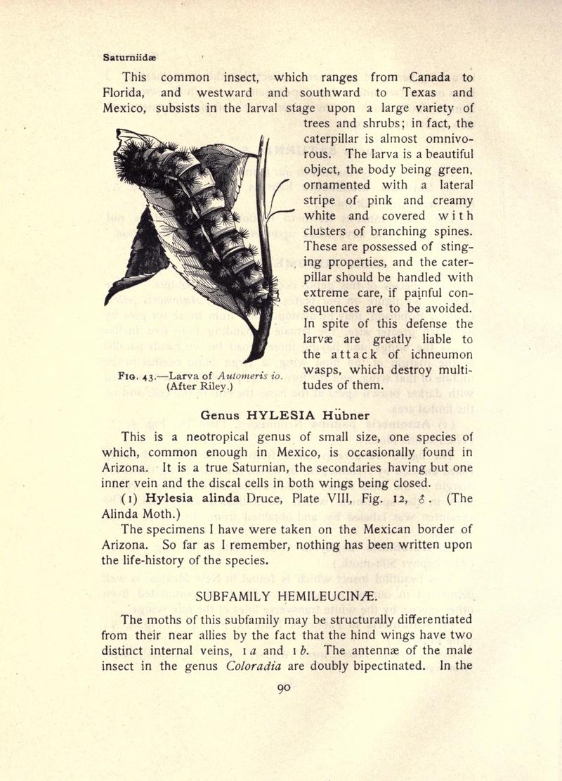 The moth book (Page 90, Fig. 43) BHL21853023