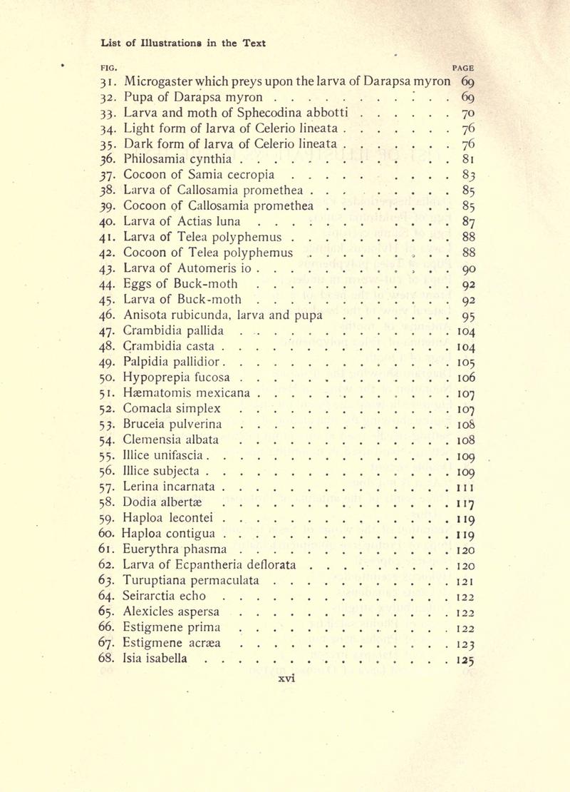 The moth book (Page xvi) BHL21852870