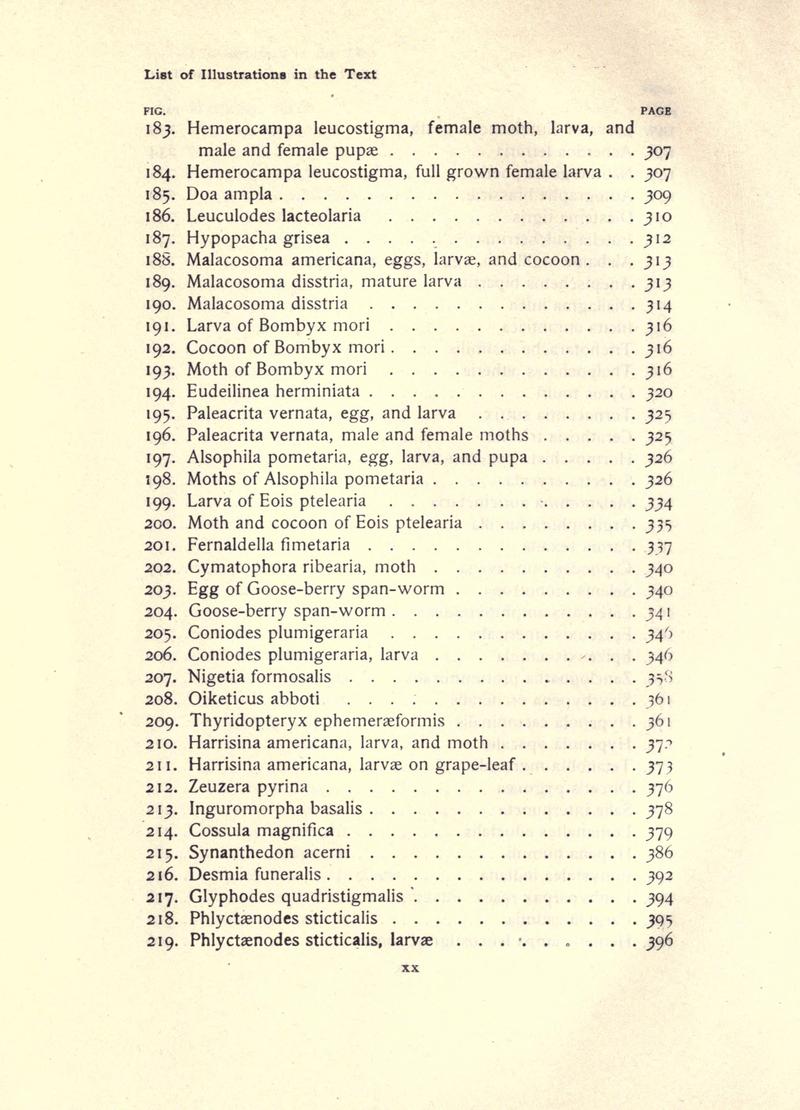 The moth book (Page xx) BHL21852874