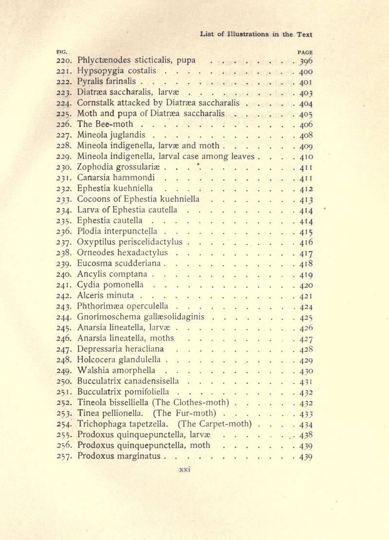 The moth book (Page xxi) BHL21852875