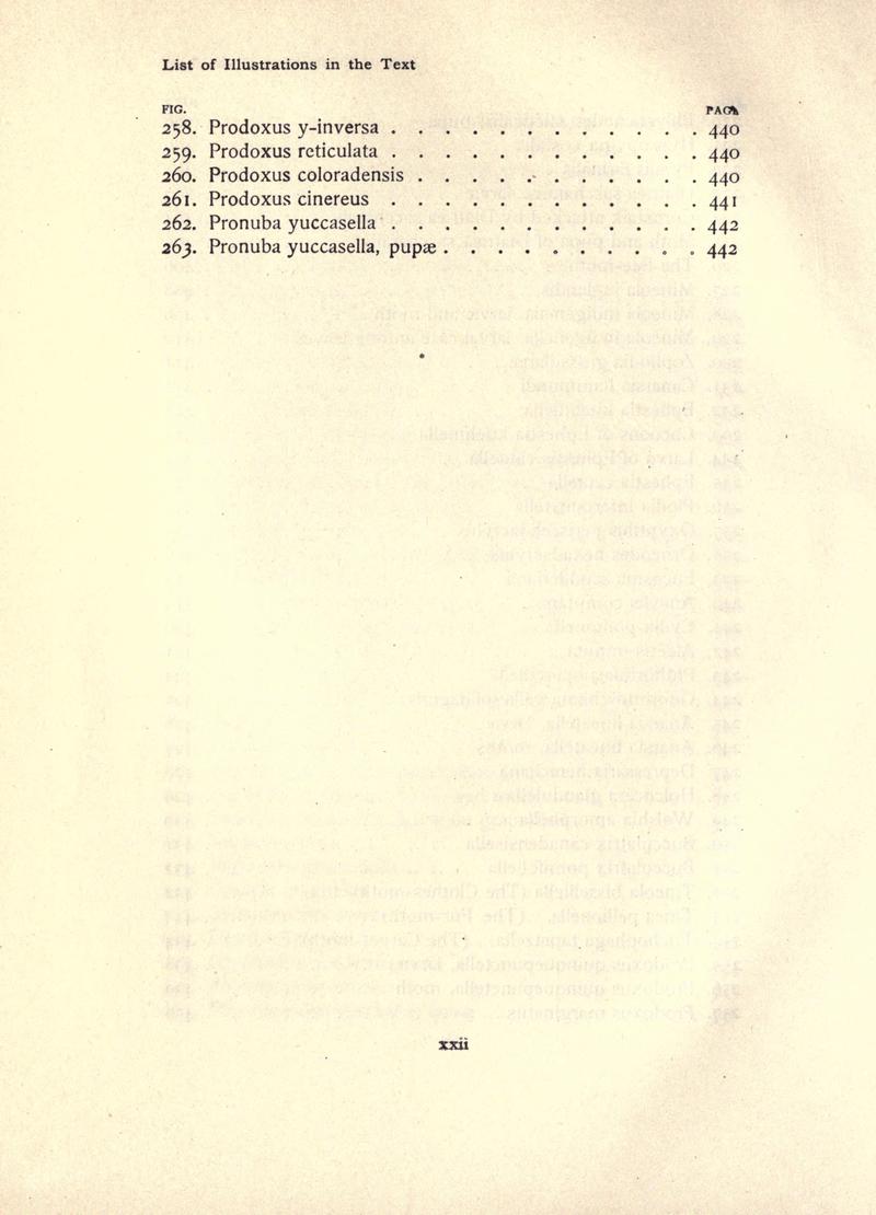 The moth book (Page xxii) BHL21852876
