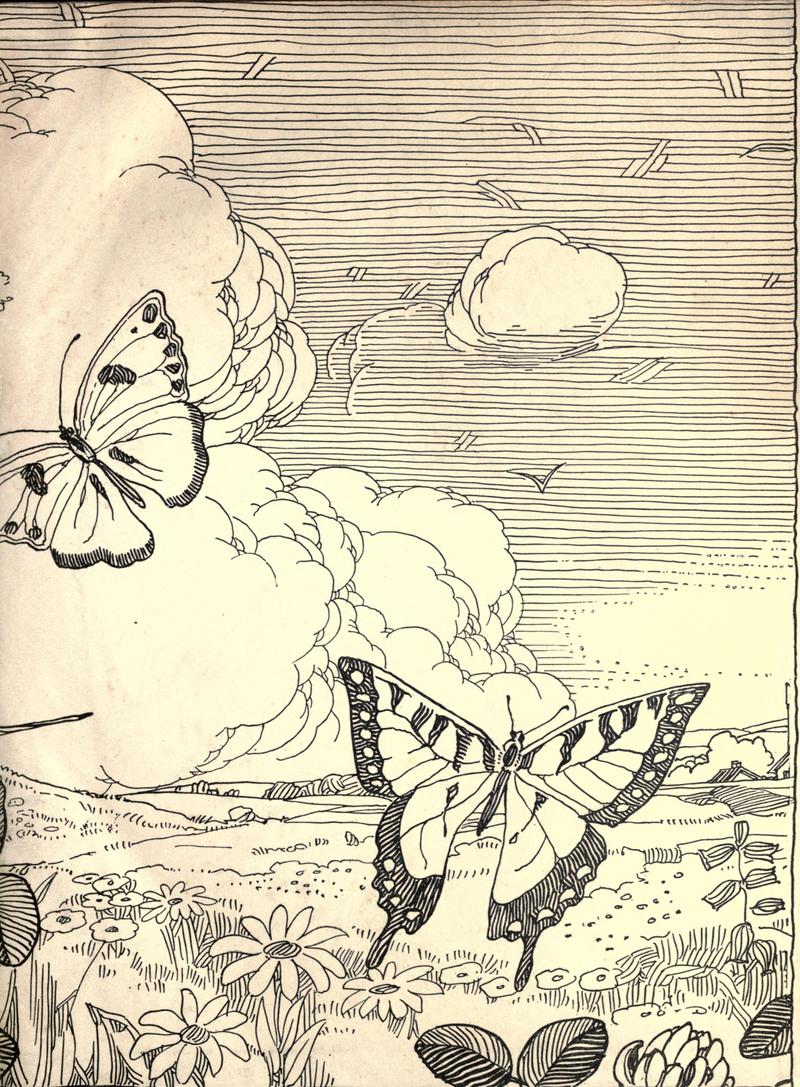 The moth book BHL21852917