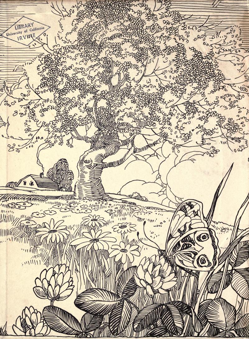 The moth book BHL21852918