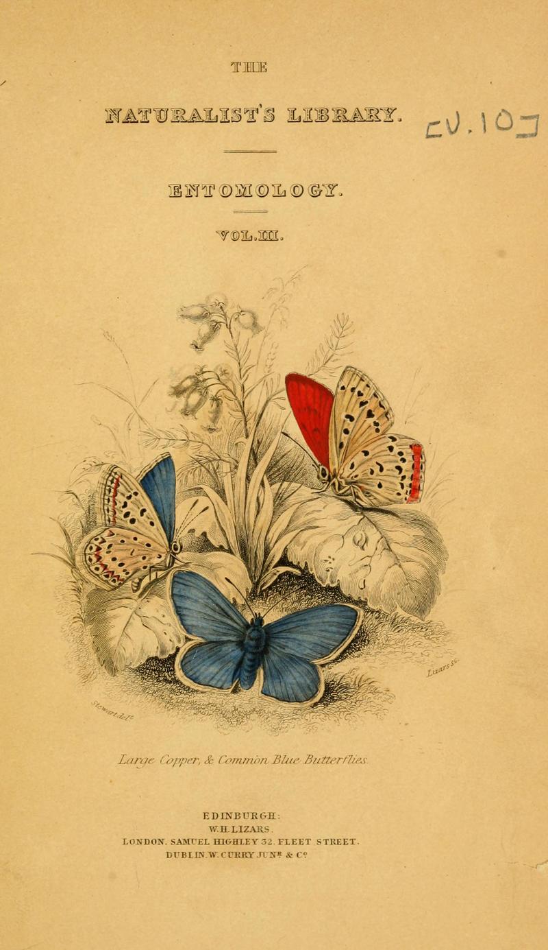 The natural history of British butterflies (Cover Page) (6077212410)