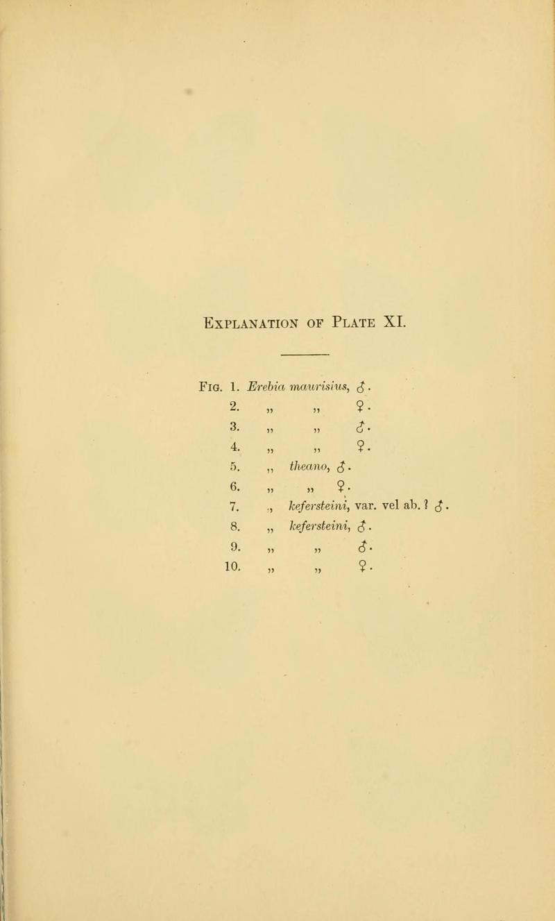 Elwes 1899 Lepidoptera of the Altai Mountains Transactions of the Entomological Society of London 1899 3 354