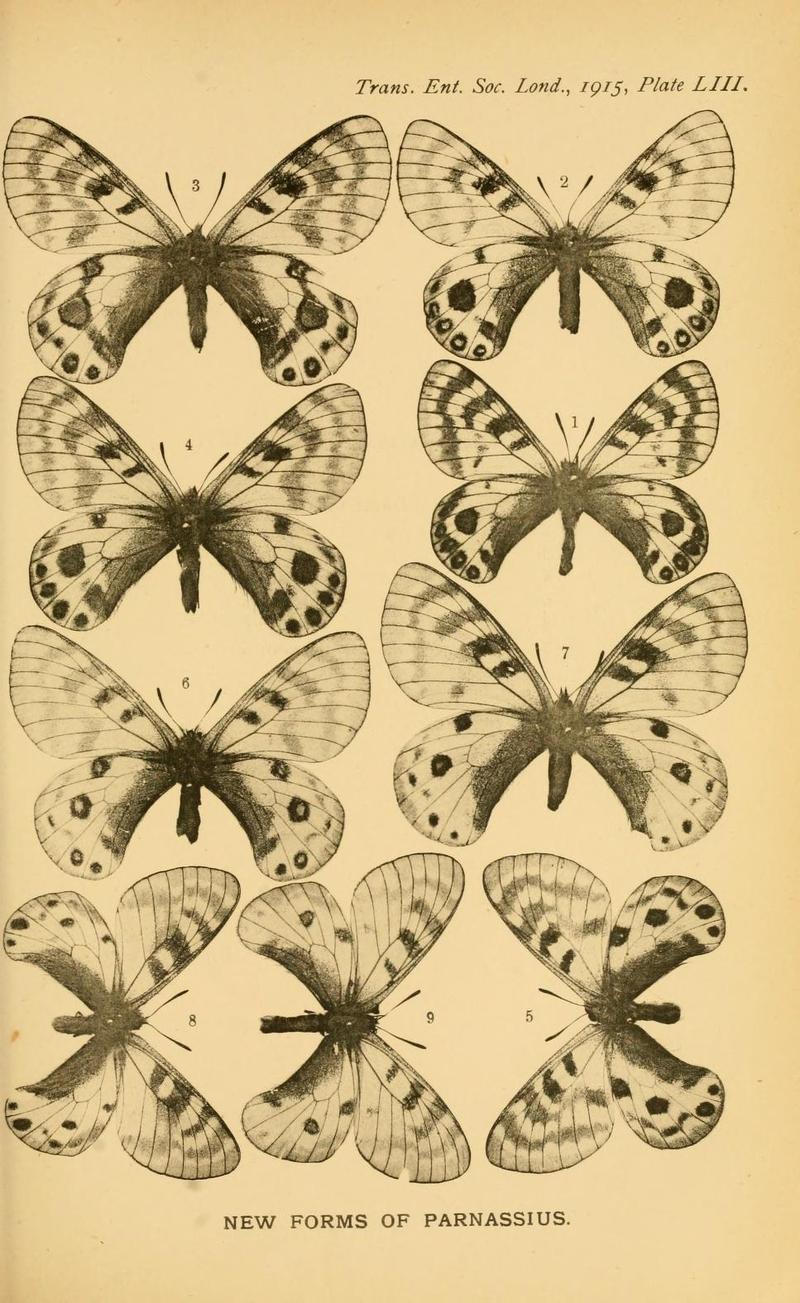 TransEntSocLondon1915PlateLIII