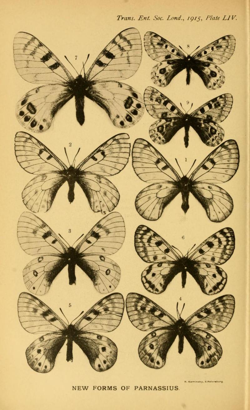 TransEntSocLondon1915PlateLIV