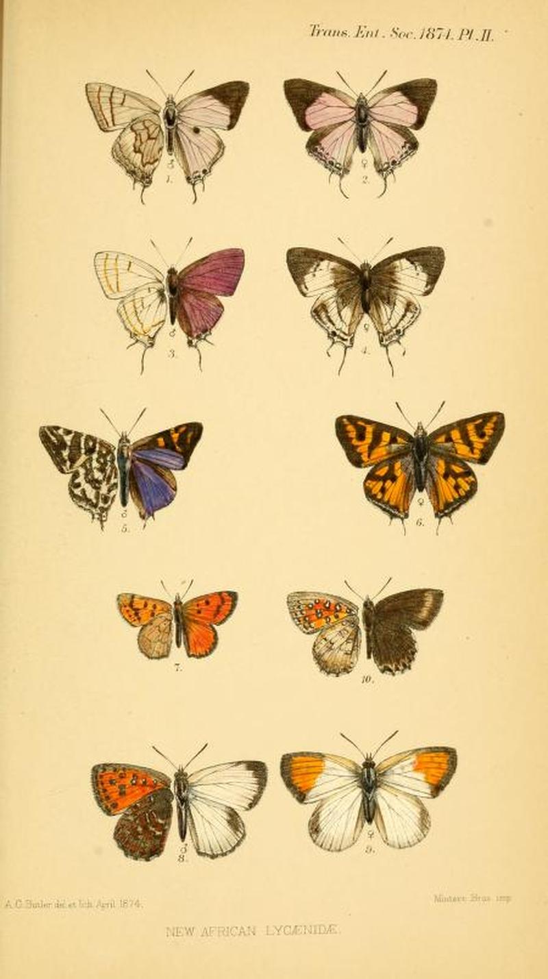 TransactionsEntSocLondon1874Plate2