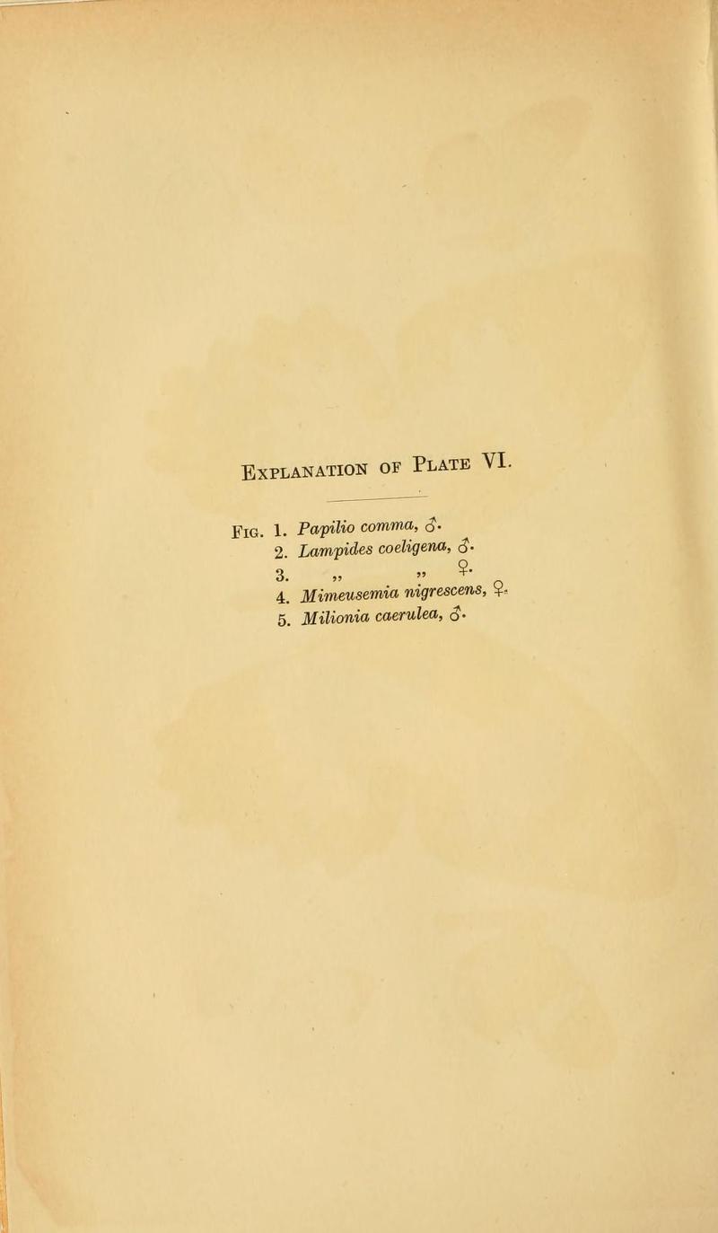 Transactions of the Entomological Society of London (1916) Plate VI