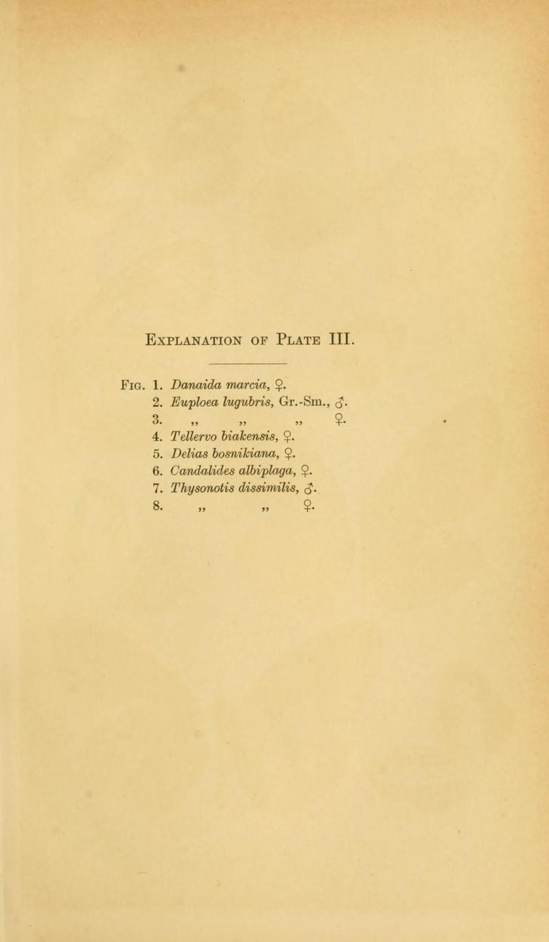 Transactions of the Entomological Society of London (1916) Text Plate III