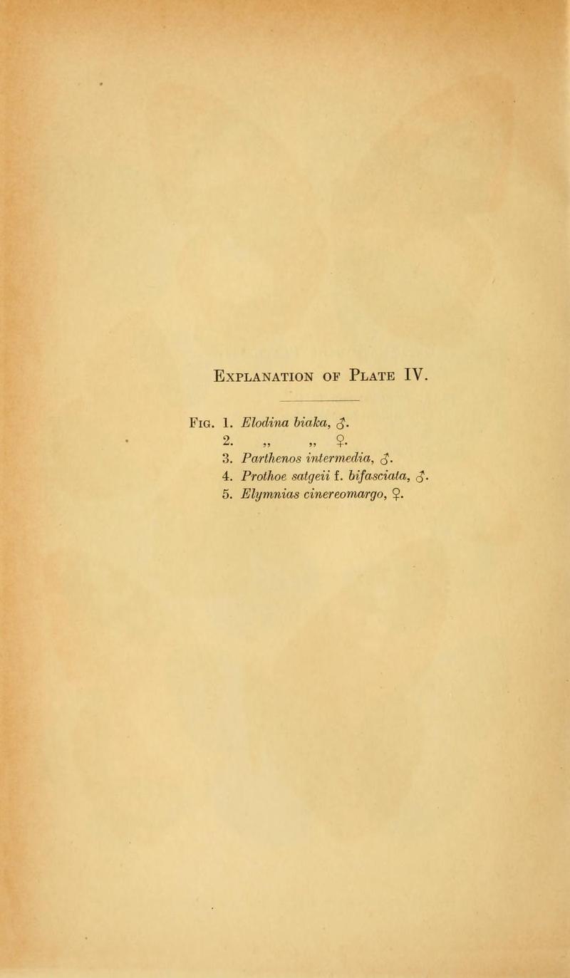 Transactions of the Entomological Society of London (1916) Text Plate IV