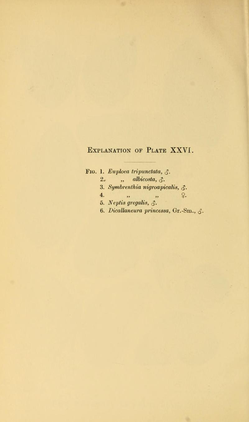 Transactions of the Entomological Society of London 1915 Plate XXVIText
