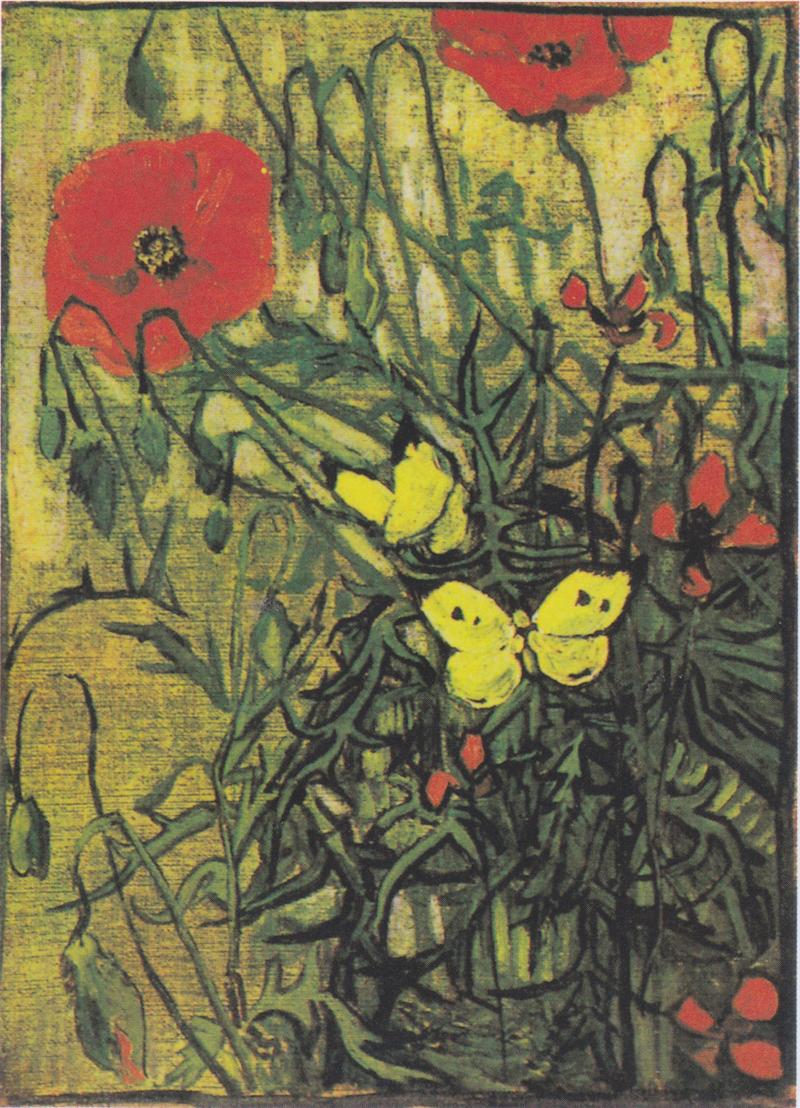 Poppies and Butterflies