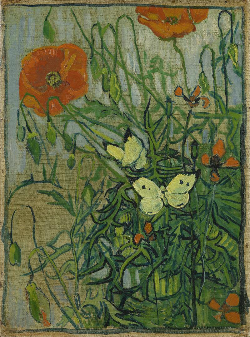 Butterflies and poppies title QS:P1476,en:"Butterflies and poppies" label QS:Len,"Butterflies and poppies"