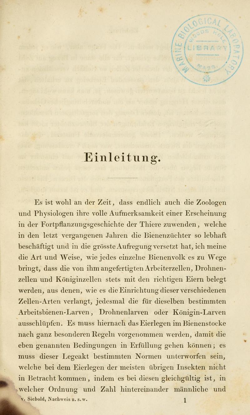 Wahre Parthenogenesis bei Schmetterlingen und Bienen BHL11150863