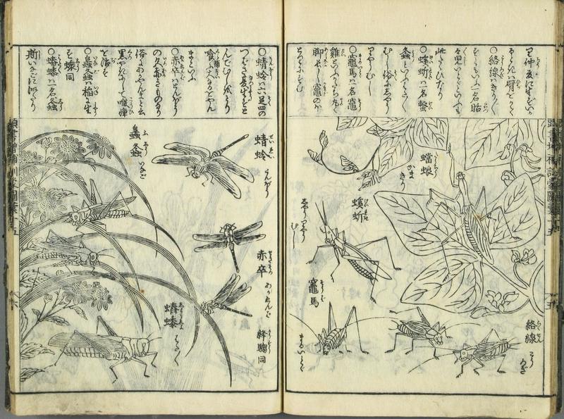 中村惕斎訓蒙図彙大成巻七 二〇頁